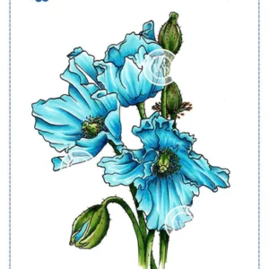 Himalayan Poppy Rubber Cling Stamp